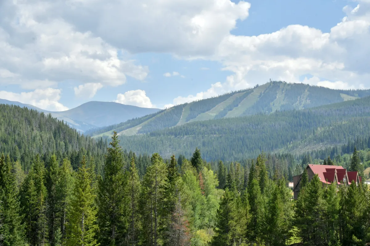 A sweeping view of a mountain range framed by a dense evergreen forest, with distant peaks and a red-roofed building nestled in the landscape. The tranquil setting invites hiking, nature photography, and relaxing in natural surroundings, while suggesting access to outdoor adventure and scenic beauty.